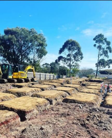 Detailed Excavation